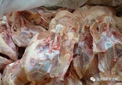 科学喂食 几种安全处理鸡架喂犬的家庭做法