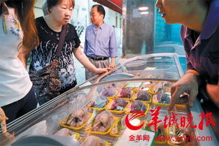 广州推进家禽生鲜上市试点调整 集中屠宰后档主可售光鸡，探索家禽消费新路径