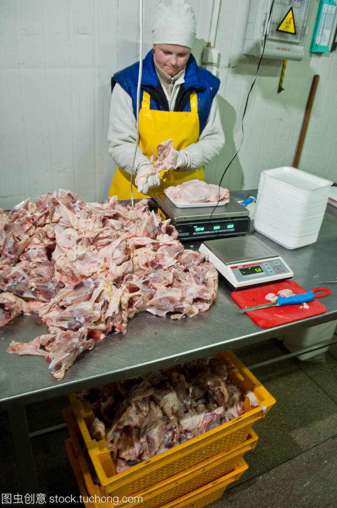 食品工业中的家禽加工与屠宰 标准化流程与安全控制