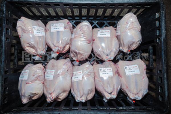 家禽屠宰场中的养鸡环节 从养殖到屠宰的产业链解析