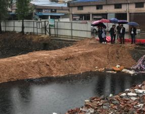 严把舌尖安全关 守护碧水清波——区人大常委会调研大龙街农产品质量安全与黑臭水体治理纪实