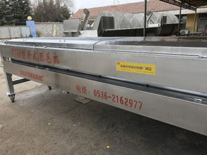 家禽屠宰自动化新篇章 全自动脱毛机与流水线设备解析