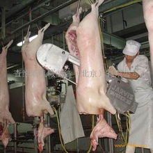 现代化家禽屠宰设备 提升效率与食品安全的关键