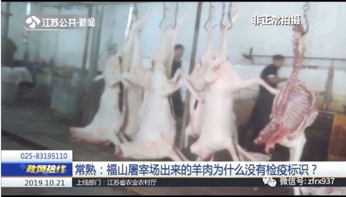 江苏年底前全面关闭不合格屠宰场，家禽屠宰行业进入规范新时代
