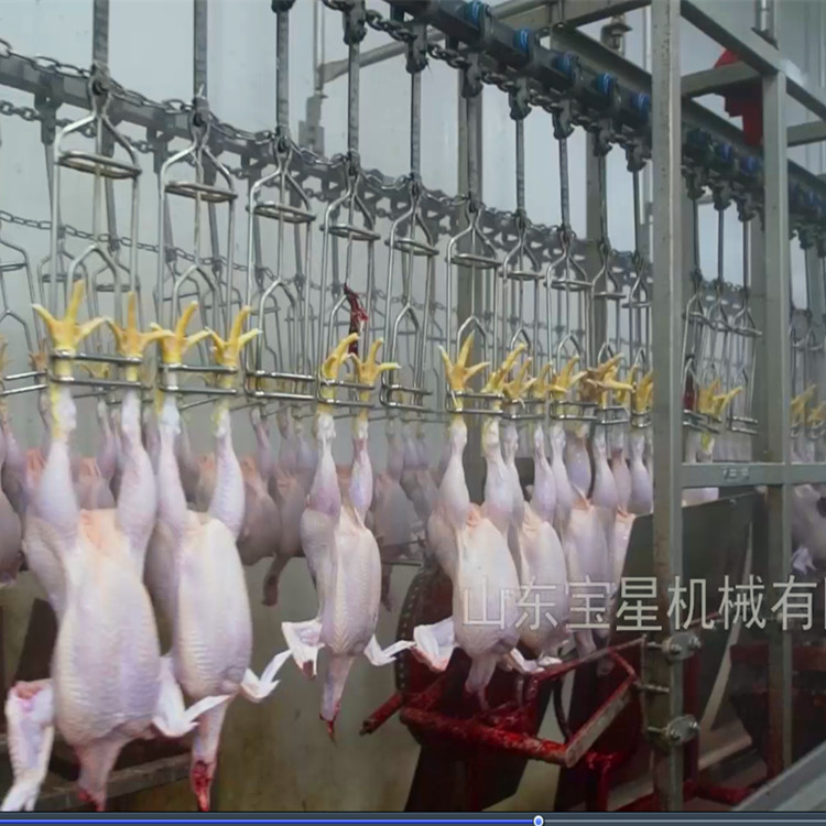 高效卫生的家禽屠宰解决方案 山东宝星鸡脱毛生产线