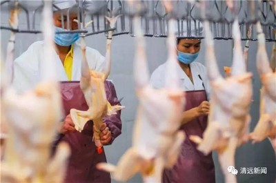 清远34个肉菜市场划入活禽限制区，违者最高罚款5万元